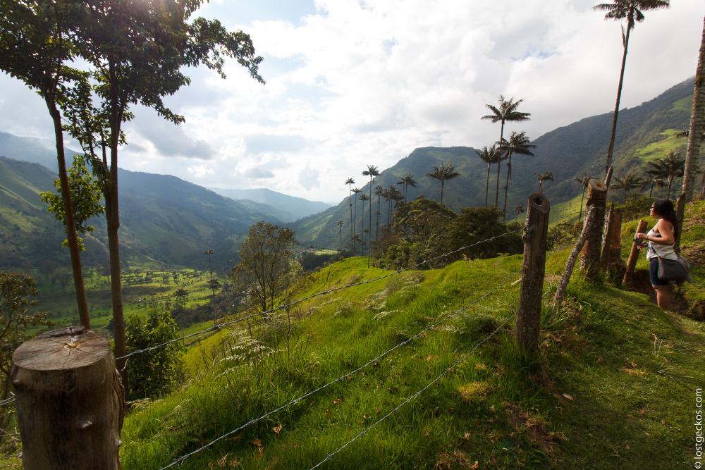 Valle Del Cocorra 2174