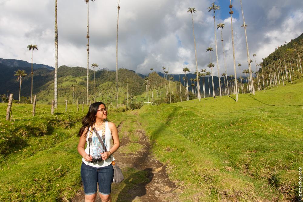 Valle Del Cocorra 2213