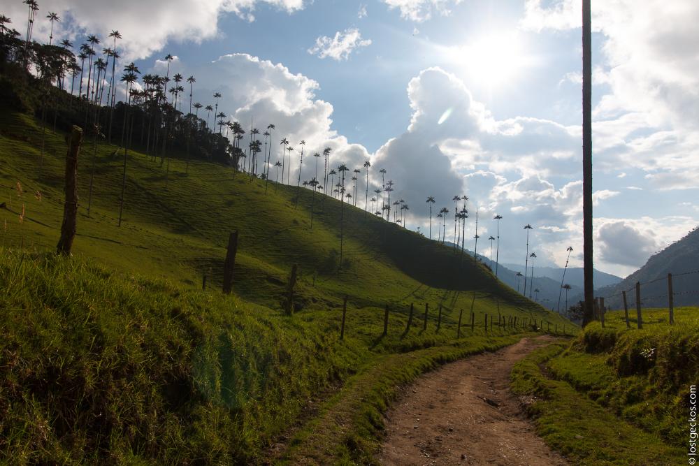 Valle Del Cocorra 2214