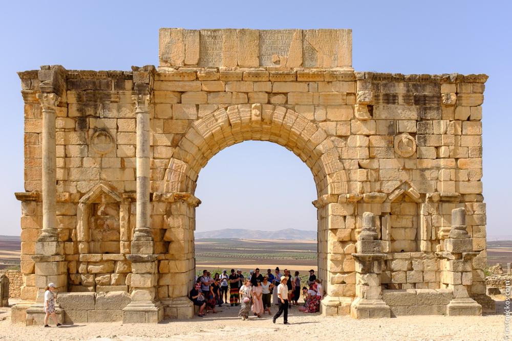 Volubilis 3735