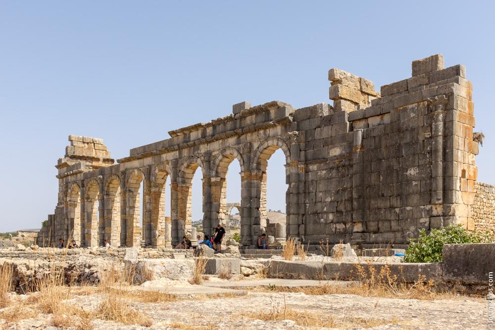 Volubilis 3743