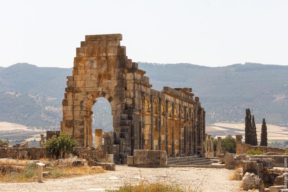 Volubilis 6106