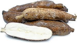 Yuca